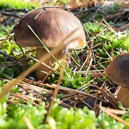 Casa vacanze Nad Samym Jeziorem